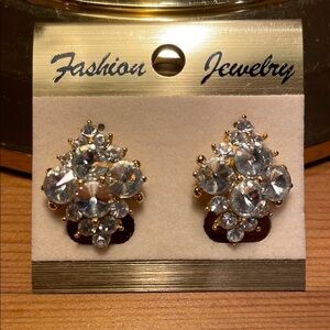 Elegant Cluster Clip Earrings